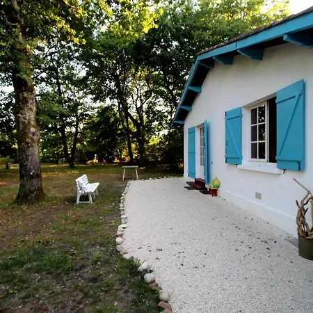 Maison 2 Chambres Avec Grand Jardin Arbore Vakantiehuis Andernos-les-Bains